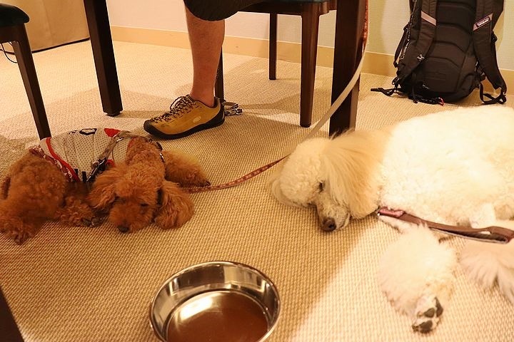 ⑧レジーナ蓼科の夕食です。_b0111376_15014109.jpg