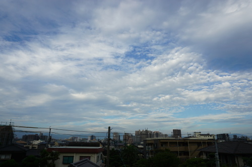 朝歌8月7日_c0169176_07491132.jpg