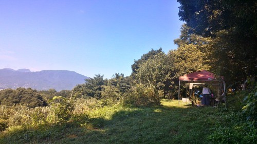 d0316279_12553481.jpg