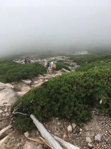 八甲田山_b0199487_15593880.jpeg