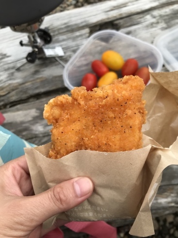 八甲田山_b0199487_16011971.jpeg