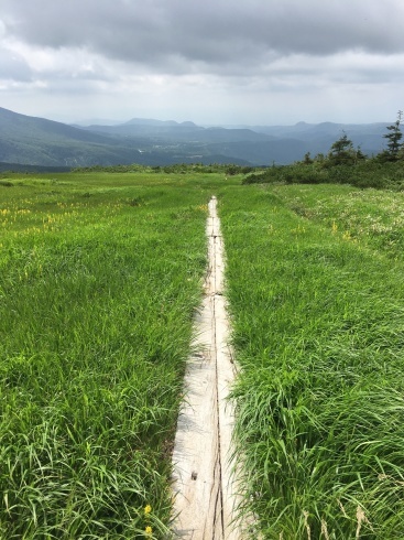 八甲田山_b0199487_16034276.jpeg