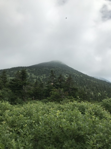 八甲田山_b0199487_21073799.jpeg