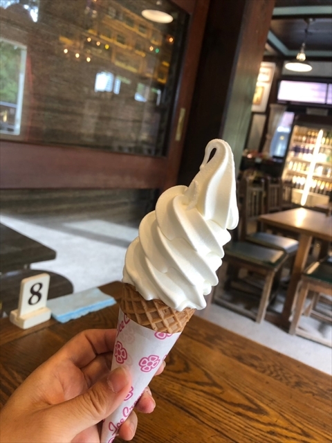 2019年夏山 帰りたいけど帰れない、編_e0271890_13520115.jpg