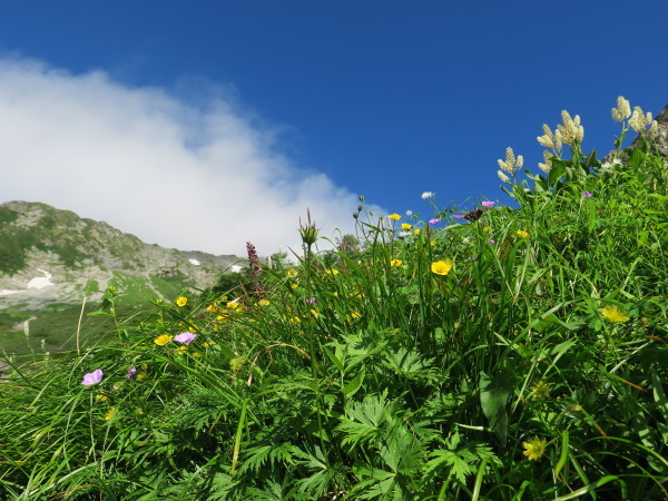 2019年夏山 帰りたいけど帰れない、編_e0271890_13531486.jpg