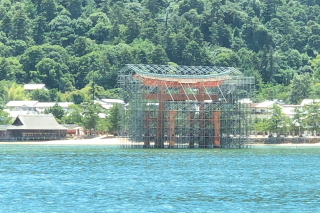 暑いのです_a0233991_20231989.jpg