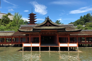 暑いのです_a0233991_20234922.jpg