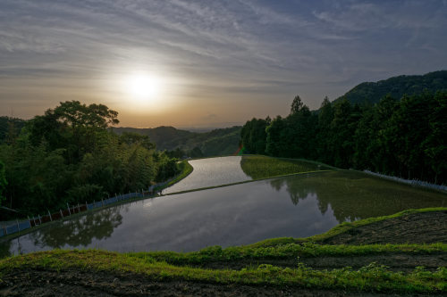 夕照　～天空の棚田_e0366896_22364734.jpg