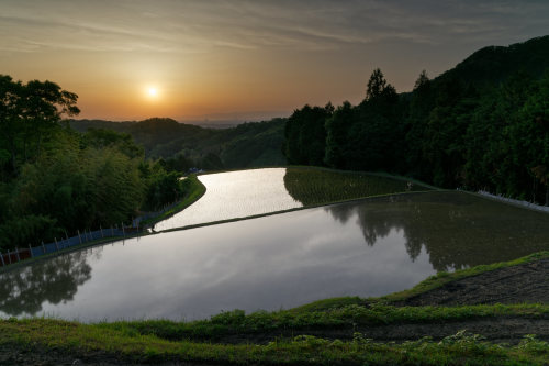 夕照　～天空の棚田_e0366896_22370307.jpg