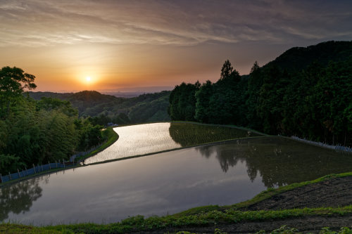 夕照　～天空の棚田_e0366896_22370442.jpg