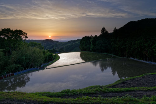 夕照　～天空の棚田_e0366896_22373622.jpg