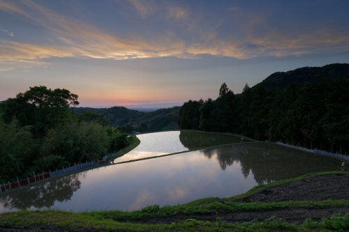 夕照　～天空の棚田_e0366896_22373829.jpg