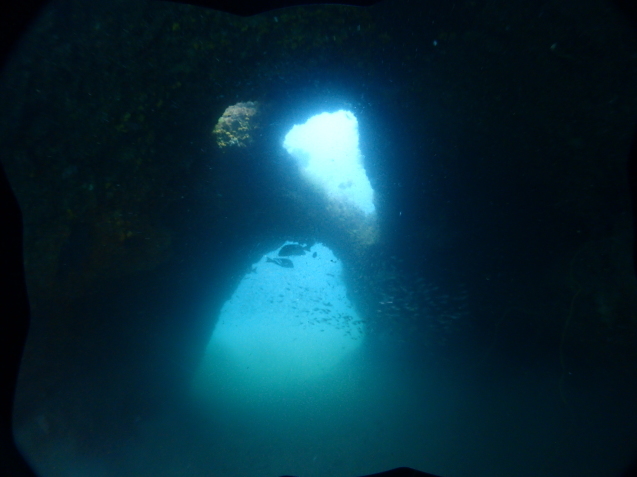 e0115199_14134994.jpg