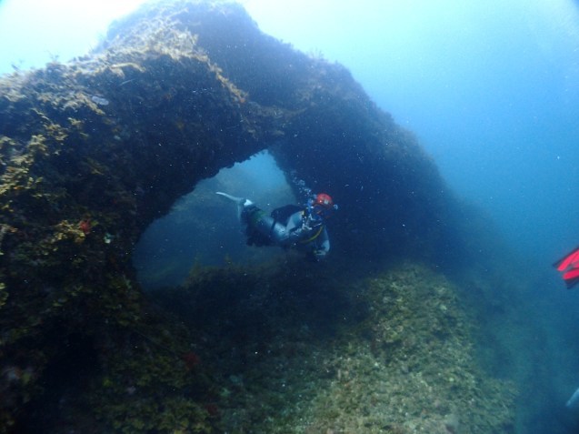 e0115199_14181393.jpg