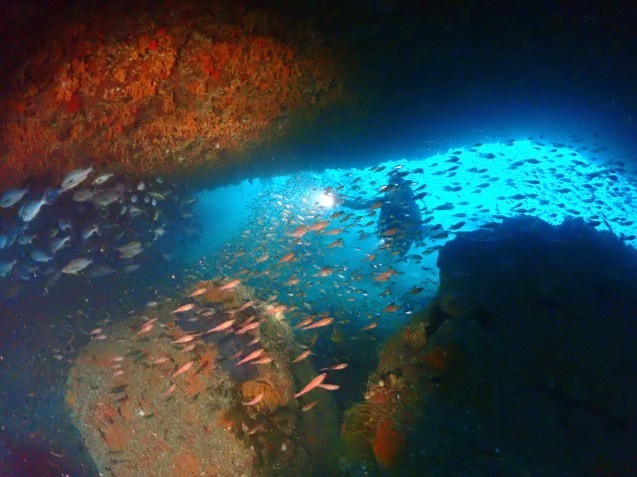 e0115199_16032845.jpg