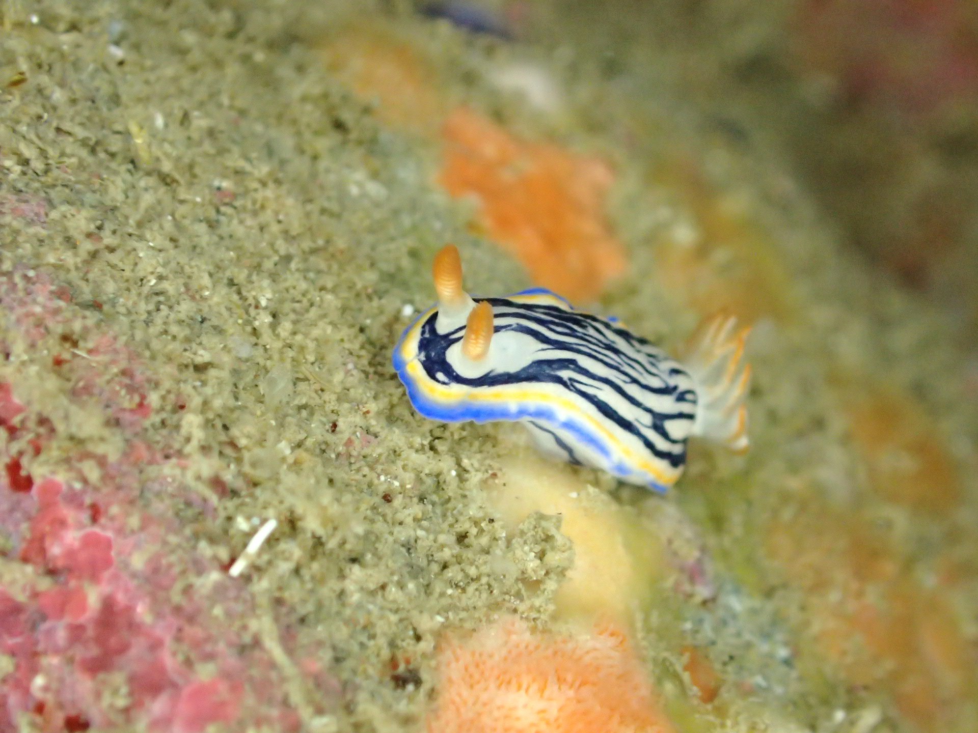 e0115199_16344727.jpg