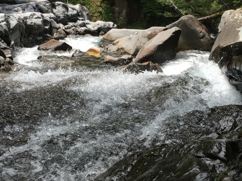 e0122100_11342261.jpg
