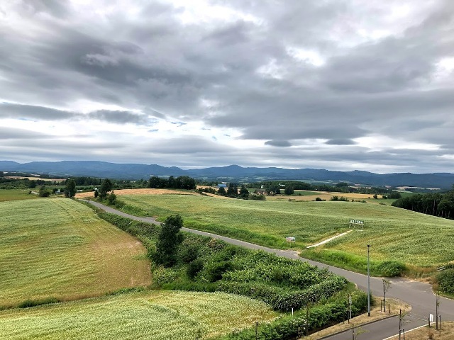 北海道ガーデン巡り視察旅行～2日目旭川美瑛富良野_d0072903_07075259.jpg