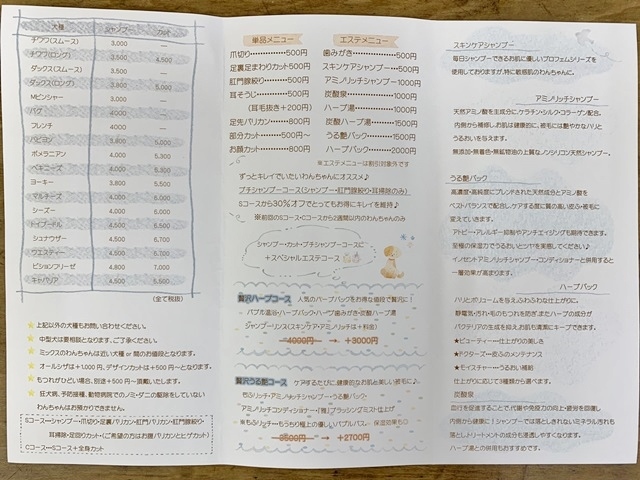 a0129705_15002868.jpg