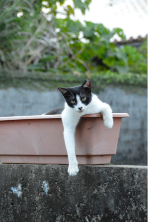 11年に感謝を込めて_c0176406_20185255.jpg