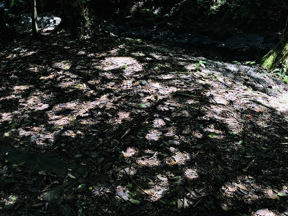 f0364707_13394571.jpg