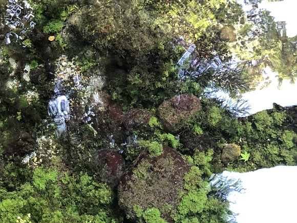 f0364707_14050761.jpg