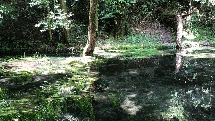 f0364707_14052924.jpg