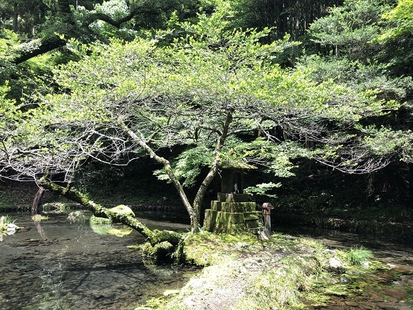 f0364707_14064099.jpg
