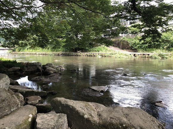 f0364707_17070707.jpg