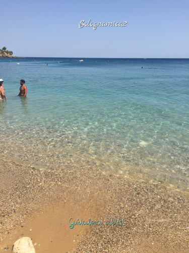 b0338818_17133964.jpeg