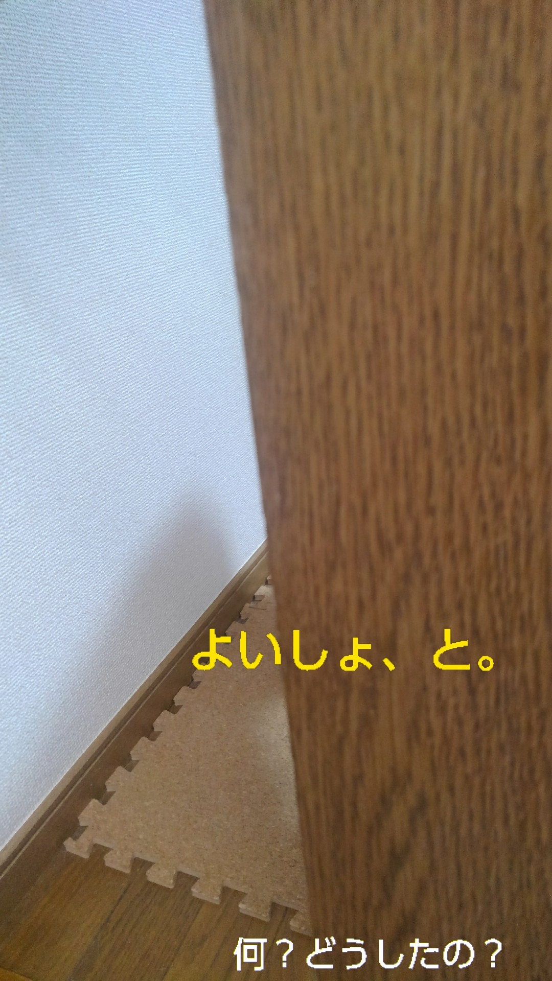 b0339522_12524084.jpg