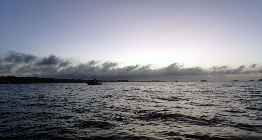 d0171823_19020264.jpg