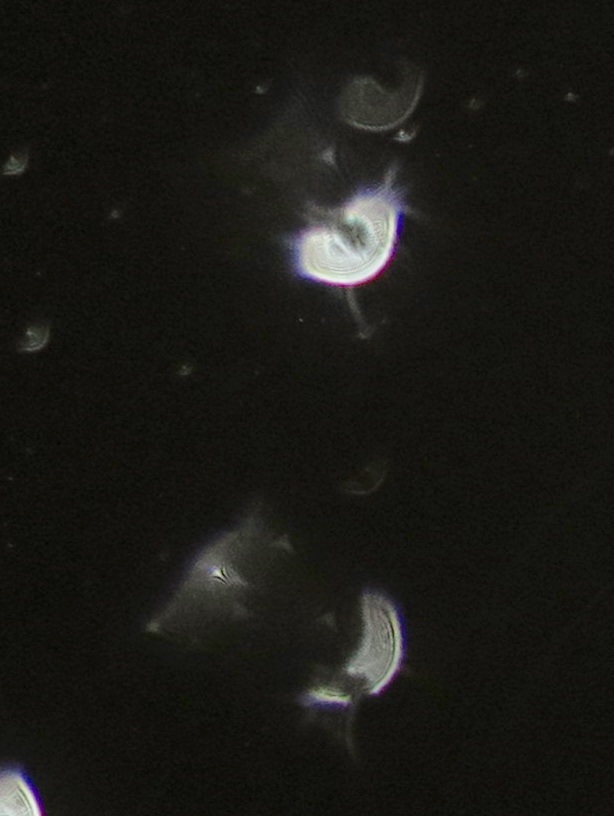 c0331825_18311691.jpg