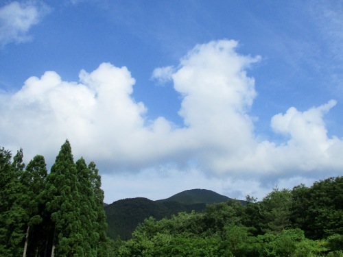 f0158625_16012605.jpg