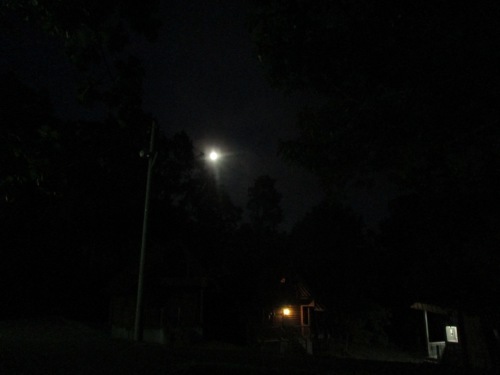 f0158625_16545151.jpg