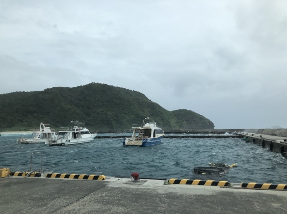 d0224927_19264177.jpeg