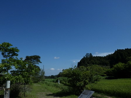 a0123836_16501741.jpg