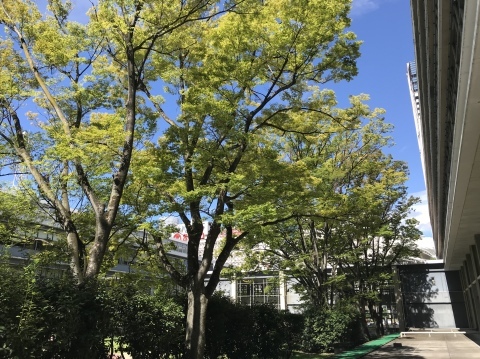 a0317236_07275511.jpeg