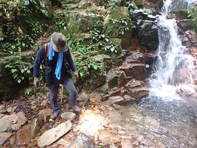 f0334143_7343942.jpg