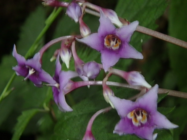 f0334143_7365925.jpg