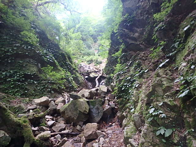 f0334143_7375760.jpg