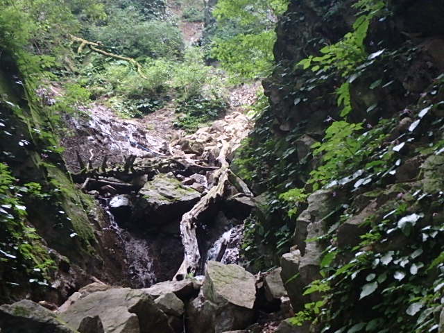 f0334143_7382852.jpg