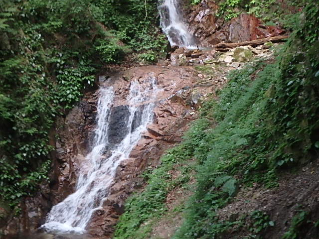 f0334143_7385831.jpg