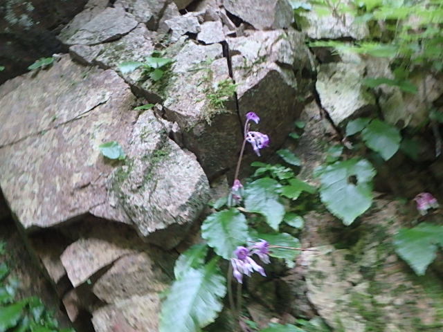 f0334143_7391690.jpg