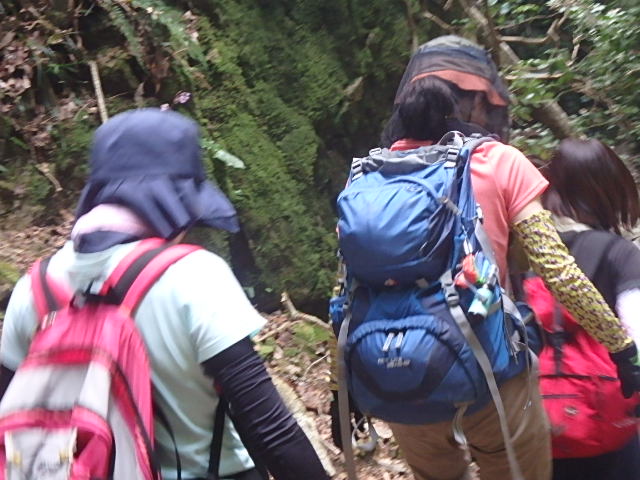 f0334143_7445182.jpg