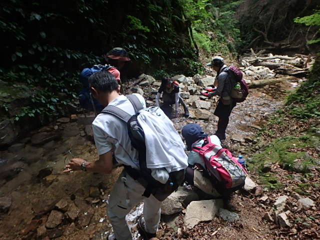 f0334143_7452335.jpg