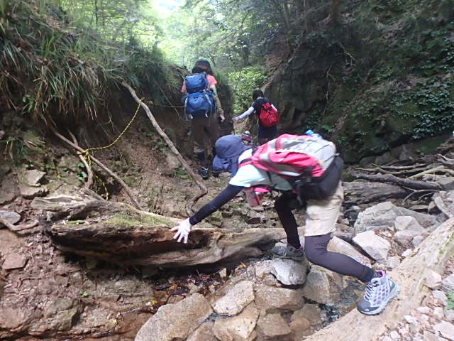 f0334143_7455445.jpg