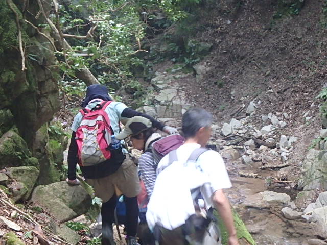 f0334143_745948.jpg