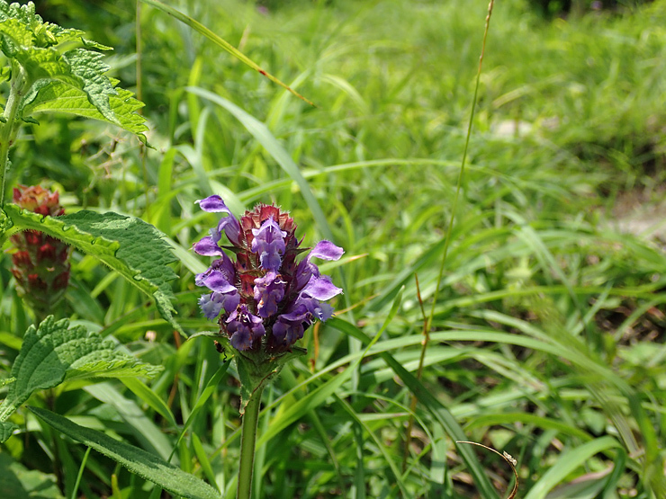 f0214649_03220413.jpg
