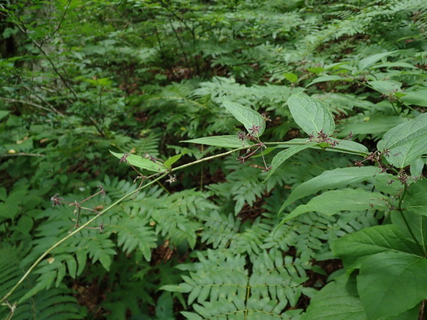 f0214649_03361987.jpg